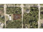 Plot For Sale In Paisley, Florida