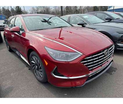 2023 Hyundai Sonata Hybrid SEL is a Red 2023 Hyundai Sonata Hybrid SE Hybrid in Lakewood NY