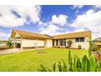 1142 Panee St, Pearl City, HI 96782