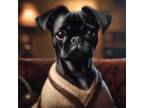 Pugs that can breath