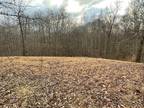 Plot For Sale In Springville, Tennessee