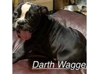 Darth Wagger