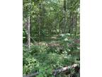 Plot For Sale In Newaygo, Michigan