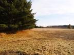 Plot For Sale In Gladwin, Michigan