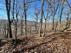 Plot For Sale In Rich Creek, Virginia