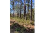 Plot For Sale In Southport, North Carolina