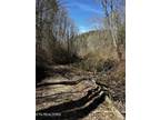 Plot For Sale In Tellico Plains, Tennessee