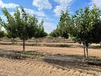 Plot For Sale In Madera, California