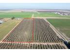 Plot For Sale In Escalon, California