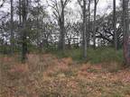 Plot For Sale In Grand Bay, Alabama