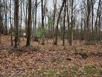 Plot For Sale In White Haven, Pennsylvania