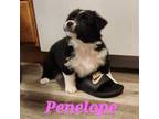 Penelope (Penny)