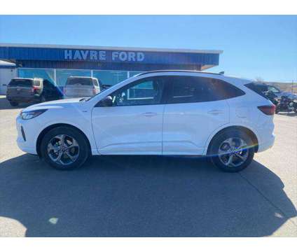 2023 Ford Escape ST-Line is a White 2023 Ford Escape SUV in Havre MT