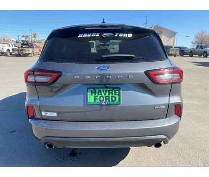 2023 Ford Escape ST-Line is a Grey 2023 Ford Escape SUV in Havre MT