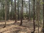 Plot For Sale In Kirbyville, Texas