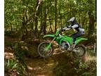 2024 Kawasaki KX 450X