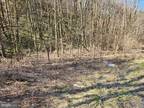 Plot For Sale In Woodbury, Pennsylvania