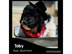 Toby 'Keith' *Price Reduced*
