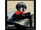 Jasper