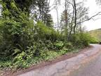 Plot For Sale In Klamath, California