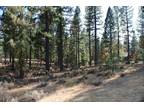 Plot For Sale In Clio, California