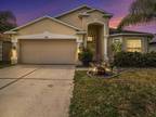 4201 Branchside Ln, Wesley Chapel, FL 33543