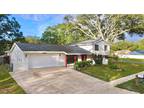 23817 Lake Walk Ct, Lutz, FL 33559