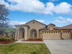 10017 Oxford Chapel Dr, Tampa, FL 33647