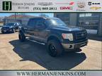 2009 Ford F-150 FX4