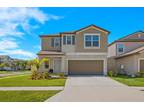 5202 White Chicory Dr, Apollo Beach, FL 33572