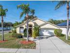 9509 Charleston Lake Dr, Tampa, FL 33635