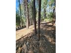 Plot For Sale In Pollock Pines, California