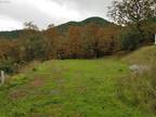 Plot For Sale In Myrtle Creek, Oregon