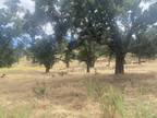 Plot For Sale In Tehachapi, California