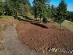 Plot For Sale In Washougal, Washington