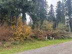 Plot For Sale In Napavine, Washington