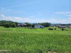 Plot For Sale In Greenback, Tennessee