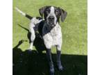 Adopt Task a Pointer