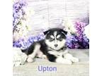 Upton