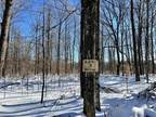 Plot For Sale In Silver Cliff, Wisconsin