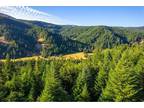 Home For Sale In Dorena, Oregon