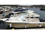 2006 Kelt WHITE SHARK 248 SUNDECK