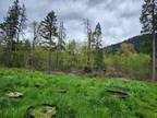 Property For Sale In Wolf Creek, Oregon