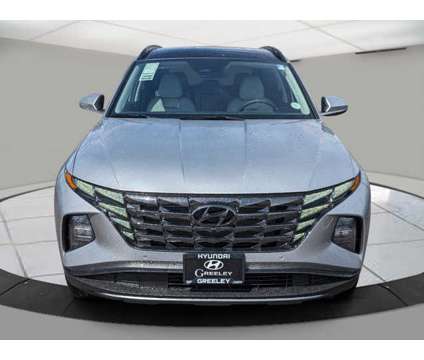 2024 Hyundai Tucson Limited is a Silver 2024 Hyundai Tucson Limited Car for Sale in Greeley CO