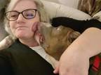 Adopt Smoochie a Pit Bull Terrier