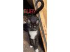 Adopt Ruby a Tuxedo