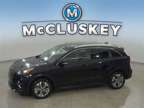 2019 Kia Niro EV EX 13509 miles