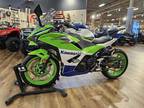 2024 Kawasaki Ninja 500 SE 40th Anniversary Edition ABS