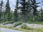 Plot For Sale In Copper Center, Alaska