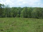Plot For Sale In Minor Hill, Tennessee
